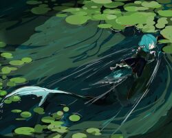  1girl blue_eyes blue_hair commentary_request fins full_body green_kimono haruaki_(onkai_planaria) head_fins highres japanese_clothes kimono long_sleeves lotus_leaf merfolk mermaid monster_girl outdoors solo swimming touhou wakasagihime wide_sleeves 