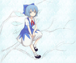  1girl black_shoes blue_bow blue_dress blue_eyes bow buttons cirno closed_mouth collarbone day dress frilled_dress frills hair_between_eyes hair_bow ice ice_wings kashiwada_kiiho mary_janes neck_ribbon on_branch pinafore_dress red_ribbon ribbon shirt shoes short_hair sitting sleeveless sleeveless_dress smile socks solo touhou two-tone_dress white_dress white_shirt white_socks wings 