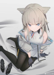  1girl :/ absurdres animal_ears arknights arknights:_endfield bare_shoulders bird_ears bird_girl black_gloves black_pantyhose black_shoes blue_eyes blunt_bangs breasts bright_pupils chichi_guai commentary dress expressionless foot_out_of_frame from_above gloves grey_hair grey_jacket high_heels highres jacket large_breasts long_hair long_sleeves looking_at_viewer off_shoulder open_clothes open_jacket pantyhose perlica_(arknights) shoes sleeveless sleeveless_dress solo untranslatable_commentary watch watch watermark weibo_watermark white_dress white_pupils 