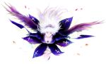  fm77_(artist) long_hair petals rozen_maiden suigintou white_hair wings 