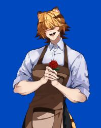  1boy animal_ear_fluff animal_ears blanc_(heartopia) blonde_hair blue_background brown_hair flower hair_over_eyes heartopia highres holding holding_flower male_focus marine_pu multicolored_hair open_mouth rose solo tail tiger_boy tiger_ears tiger_tail two-tone_hair 