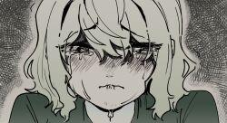  1girl blush commentary_request crying crying_with_eyes_open dress film_grain green_dress green_hair greyscale highres korean_commentary looking_at_viewer lovelobten monochrome sad short_hair soga_no_tojiko streaming_tears tears touhou 