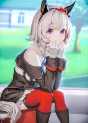  1girl animal_ears bare_shoulders black_boots black_hairband blush boots bow breasts closed_mouth coat commentary_request curren_chan_(fille_eclair)_(umamusume) curren_chan_(umamusume) dress ear_bow ear_covers gloves grass grey_hair hairband highres horse_ears horse_girl horse_tail long_sleeves medium_breasts mixed-language_commentary off-shoulder_coat off-shoulder_dress off-shoulder_jacket off_shoulder outdoors red_bow red_thighhighs short_hair sitting smile solo striped_clothes striped_dress suguru_tenkyoh tail thigh-highs tree umamusume vertical-striped_clothes vertical-striped_dress violet_eyes white_gloves 