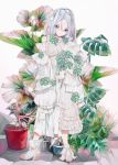  1girl blue_eyes dress frilled_dress frills full_body hair_between_eyes highres hood hood_up leaf long_hair original plant potted_plant sleeves_past_fingers sleeves_past_wrists solo standing white_dress white_footwear white_hair yogisya 