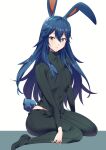  1girl ameno_(a_meno0) animal_ears blue_eyes blue_hair bunny_tail fire_emblem fire_emblem_awakening flat_chest highres looking_at_viewer lucina lucina_(fire_emblem) pants rabbit_ears rabbit_girl simple_background sitting solo sweater tail white_background wide_hips 