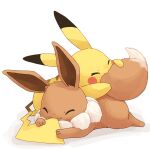  brown_fur closed_eyes commentary_request eevee gen_1_pokemon misonikomiii nibbling no_humans paws pikachu pokemon pokemon_(creature) smile tail white_background 