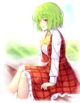  1girl aka_tawashi ascot bloom breasts collared_shirt commentary_request eyebrows_visible_through_hair feet_out_of_frame from_side green_hair hair_between_eyes highres kazami_yuuka large_breasts light_particles light_rays long_sleeves looking_at_viewer open_clothes open_vest overexposure parted_lips petticoat plaid plaid_skirt plaid_vest profile red_eyes red_vest shirt short_hair sitting skirt skirt_set smile solo symbol_commentary touhou vest white_shirt yellow_neckwear 