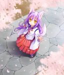  cat_ears cherry_blossoms original purple_hair tail umetani_chigusa yellow_eyes yudetama 