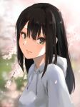  1girl bangs black_hair blurry blurry_background cherry_blossoms closed_mouth eyebrows_visible_through_hair green_eyes hair_between_eyes hood hood_down hooded_sweater idolmaster idolmaster_cinderella_girls k_concord long_hair looking_at_viewer shibuya_rin shiny shiny_hair smile solo spring_(season) straight_hair sweater white_sweater 