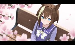  1girl animal_ears bench blue_eyes blurry blush bow bowtie brown_hair cherry_blossoms closed_mouth commentary_request depth_of_field falling_petals flower hair_between_eyes horse_ears horse_girl horseshoe_ornament long_sleeves looking_at_viewer multicolored_hair nanasedayoxd on_bench park_bench petals pink_flower purple_sailor_collar purple_shirt sailor_collar sailor_shirt school_uniform shirt short_hair short_hair_with_long_locks sidelocks sitting smile solo streaked_hair tracen_school_uniform umamusume white_bow white_bowtie white_streaks wooden_bench 