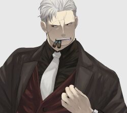  1boy absurdres brown_jacket chacoma cigar collared_shirt commentary_request grey_background grey_hair highres jacket long_sleeves male_focus mature_male necktie one_piece shirt short_hair simple_background smoker_(one_piece) smoking solo stitched_face stitches upper_body vest 