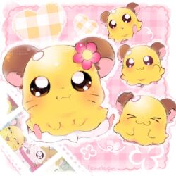1girl bad_source border canihavepromo character_name flower hair_flower hair_ornament hamster hamtaro hamtaro_(series) highres lace lace_border lottie_(gravyalloverhim) no_humans ornate_border penelope_(hamtaro) pink_background plaid_background solo_focus third-party_source