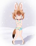  1girl absurdres animal_ear_fluff animal_ears bangs bare_arms bare_legs bare_shoulders bikini blush_stickers brown_footwear brown_hair cold collarbone commentary_request dhole_(kemono_friends) eyebrows_visible_through_hair full_body hair_between_eyes highres kemono_friends knees_together_feet_apart layered_bikini looking_at_viewer multicolored_hair navel o_o open_mouth outdoors polka_dot polka_dot_bikini sandals shin01571 snow snowing solo standing swimsuit tail trembling two-tone_hair wavy_mouth white_bikini white_hair 