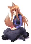 apple apples brown_hair food fruit holding holding_fruit holo long_hair minamino_kanata red_eyes spice_and_wolf tail wolf_ears 