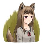  animal_ears bad_id brown_hair holo red_eyes spice_and_wolf tail wolf_ears 