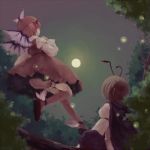  androgynous cape fireflies green_hair moon mow mystia_lorelei pink_hair reverse_trap sky touhou wings wriggle_nightbug 