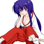  japanese_clothes lowres miko night_wizard oekaki purple_hair 