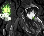  1boy bangs black_hair black_horns black_nails fire green_eyes green_fire grey_background highres hood horns long_hair male_focus malleus_draconia necktie nemuritaa pale_skin pointy_ears solo twisted_wonderland upper_body 