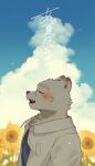  1boy absurdres animal_ears bear_boy bear_ears blue_sky blush closed_mouth clouds cloudy_sky flower from_side furry furry_male hashtag_only_commentary highres indie_virtual_youtuber jugo_kumagai male_focus open_mouth profile sky sunflower upper_body wieneko 