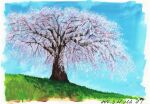  absurdres blue_sky cherry_blossoms day grass highres no_humans original outdoors sawitou_mizuki scenery sky tree 
