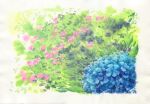  blue_flower border flower grass highres hydrangea no_humans original pink_flower sawitou_mizuki scenery traditional_media white_border 