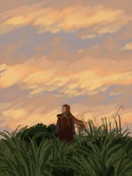  1boy asch_(tales) clouds cloudy_sky dekopoko grass long_hair long_sleeves looking_to_the_side male_focus red_hair sidelocks sky solo sunset surcoat tales_of_(series) tales_of_the_abyss tall_grass 