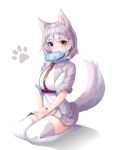  1girl absurdres animal_ear_fluff animal_ears blue_eyes blush breasts chun_bae dog_(mixed_breed)_(kemono_friends) dog_ears dog_girl dog_tail frisbee grey_hair harness heterochromia highres japari_symbol kemono_friends large_breasts looking_at_viewer multicolored_hair short_hair silver_hair simple_background sitting solo tail two-tone_hair white_background white_hair white_legwear yellow_eyes 