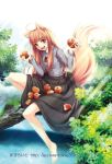  apple apples barefoot brown_hair fang food fruit holding holding_fruit holo long_hair niko niko_(azurite) red_eyes skirt_basket skirt_carry spice_and_wolf tail wolf_ears 