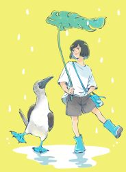  1girl aqua_bag aqua_boots aqua_eyes bag bird black_hair black_shorts blue-footed_booby bob_cut boots closed_mouth commentary full_body hankoyanagomi highres holding holding_leaf leaf leaf_umbrella looking_at_animal original puddle rain rubber_boots shirt short_hair shorts shoulder_bag simple_background smile solo standing standing_on_one_leg untranslatable_commentary white_shirt yellow_background 