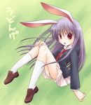  bunny_ears nakamura_hrih rabbit_ears reisen_udongein_inaba touhou 
