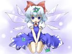  bow cirno frog gotta_pee solo touhou yuugiri 