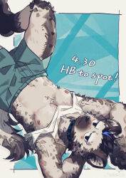  1boy abs absurdres arknights armpit_hair armpits arms_up black_hair blush character_name chinese_commentary closed_mouth clothes_lift commentary_request dated ear_piercing eyebrow_piercing face_piercing furry furry_male ganezu6 green_shorts grey_fur happy_birthday highres hyena_boy hyena_ears hyena_tail infection_monitor_(arknights) male_focus multicolored_hair muscular muscular_male navel nipples pawpads pectorals piercing shirt_lift shorts spot_(arknights) streaked_hair tank_top upside-down white_tank_top 