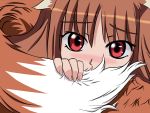  blush brown_hair holo red_eyes spice_and_wolf tail vector_trace wolf_ears 
