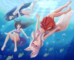  3girls :d absurdres air_bubble animal animal_ear_fluff animal_ears bangs bare_arms bare_legs bare_shoulders barefoot black_hair blue_eyes brown_eyes bubble cat_ears cat_tail commentary_request crop_top day eyebrows_visible_through_hair fish folded_ponytail fox_ears fox_girl fox_tail freediving hair_between_eyes hakama hakama_skirt highres iroha_(iroha_matsurika) japanese_clothes kimono long_hair midriff multiple_girls navel open_mouth original outdoors purple_kimono red_hakama sidelocks silver_hair smile sunlight tail underwater upside-down very_long_hair violet_eyes water 