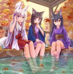  3girls :d absurdres animal_ear_fluff animal_ears autumn_leaves bangs barefoot black_hair blue_eyes blush brown_eyes cat_ears commentary_request covered_mouth cup day eyebrows_visible_through_hair fang food foot_bath fox_ears fox_girl fox_tail hair_between_eyes hair_ornament hair_ribbon hairclip hakama hand_up highres holding holding_food iroha_(iroha_matsurika) japanese_clothes kimono leaf long_hair long_sleeves maple_leaf miko multiple_girls obi open_mouth original outdoors pink_ribbon purple_kimono red_hakama ribbon sash silver_hair sitting smile soaking_feet soles steam tail very_long_hair violet_eyes white_kimono wide_sleeves x_hair_ornament 