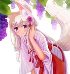  1girl :3 absurdres animal_ears backlighting bangs blush bow closed_mouth commentary_request eyebrows_visible_through_hair flower food fox_ears fox_girl fox_tail fruit grapes hair_between_eyes hair_flower hair_ornament hakama hand_up highres iroha_(iroha_matsurika) japanese_clothes kimono leaning_forward long_hair long_sleeves looking_at_viewer miko original purple_flower red_bow red_hakama silver_hair smile solo tail tail_raised very_long_hair violet_eyes white_background white_kimono wide_sleeves 