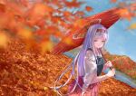  001machi 1girl autumn_leaves blue_sky blurry clouds cowboy_shot day depth_of_field dutch_angle hairband hakama hakama_skirt hip_vent japanese_clothes kantai_collection long_hair looking_at_viewer mountain muneate oriental_umbrella outdoors red_hairband red_hakama shoukaku_(kantai_collection) sky solo umbrella white_hair yellow_eyes 