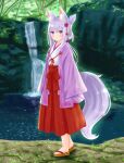  1girl absurdres animal_ear_fluff animal_ears bangs blurry blurry_background blush brown_footwear closed_mouth commentary_request day depth_of_field eyebrows_visible_through_hair flower folded_ponytail fox_ears fox_girl fox_tail full_body hair_between_eyes hair_flower hair_ornament hakama highres iroha_(iroha_matsurika) japanese_clothes kimono long_hair long_sleeves looking_at_viewer miko open_clothes original outdoors purple_flower red_hakama silver_hair sleeves_past_fingers sleeves_past_wrists solo standing tail violet_eyes water waterfall white_kimono wide_sleeves zouri 