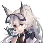  1girl animal_ears arknights biting commentary_request fang gloves grani_(arknights) hair_between_eyes highres horse_ears jacket jiuwuyin lips long_hair looking_at_viewer ponytail silver_hair simple_background smile solo upper_body violet_eyes white_background 