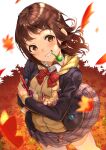  1girl autumn_leaves bangs black_jacket blazer blush bow brown_cardigan brown_hair cardigan collared_shirt commentary_request dress_shirt eyebrows_visible_through_hair floating_hair grey_skirt grin hair_ornament hairclip head_tilt highres hood hood_down hooded_cardigan jacket kabu_(niniko2ko) leaf long_hair long_sleeves looking_at_viewer maple_leaf mouth_hold object_hug open_blazer open_clothes open_jacket original plaid plaid_bow plaid_skirt pleated_skirt red_bow red_eyes school_uniform shirt skirt smile solo standing thigh-highs white_legwear white_shirt 