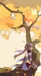  1girl autumn_leaves bare_shoulders blue_bow bow brown_legwear commentary_request detached_sleeves double_bun dress expressionless feet_out_of_frame genshin_impact hair_bow highres house in_tree keqing_(genshin_impact) kurattes long_hair outdoors pantyhose profile purple_dress purple_hair sitting sitting_in_tree solo tree twintails violet_eyes wide_sleeves 