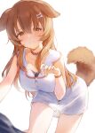  1girl alternate_hairstyle animal_ears blush bone_hair_ornament breasts brown_eyes brown_hair choker collar collarbone commentary_request dog_collar dog_ears dog_tail dress fingernails hair_down hair_ornament hana_mori highres hololive inugami_korone large_breasts leaning_forward light_smile long_hair looking_at_viewer no_jacket paw_pendant red_choker small_breasts solo tail thighs very_long_hair white_dress wristband 