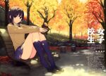  1girl absurdres aoyama_sumika artist_name autumn_leaves bangs bench black_hair brown_eyes closed_mouth coffee-kizoku day food full_body highres holding holding_food loafers long_sleeves looking_at_viewer original park park_bench pleated_skirt scan shadow shoes short_hair simple_background sitting skirt socks solo sweet_potato tree tree_branch 