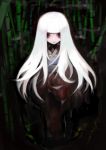 bamboo bamboo_forest datsuryokugen forest long_hair nature original red_eyes white_hair 