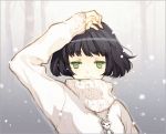  bob_cut face green_eyes jewelry lowres necklace short_hair smile snow snowing sweater tearfish 