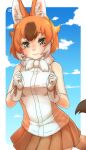  1girl animal_ear_fluff animal_ears bangs bare_arms bare_shoulders blue_sky brown_hair clenched_hands clouds commentary cowboy_shot dhole_(kemono_friends) dog_ears dog_tail eyebrows_visible_through_hair fur_collar gloves highres kemono_friends looking_at_viewer multicolored_hair orange_hair orange_ribbon orange_skirt pleated_skirt ribbon shirt short_hair skirt sky sleeveless sleeveless_shirt smile solo tail thin_(suzuneya) two-tone_hair white_gloves wrist_ribbon yellow_eyes 
