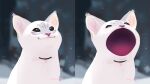  animal animal_focus black_eyes blurry blurry_background cat collar jenna_(catlawn) meme no_humans open_mouth original pop_cat_(meme) snow snowing tagme white_cat white_fur 