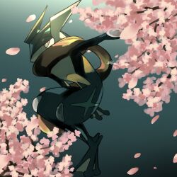  1other blue_skin bright_pupils cherry_blossoms colored_skin commentary_request furry greninja half-closed_eyes highres petals pink_eyes pokemon pokemon_(creature) pokemon_focus solo white_pupils wnpm3455 