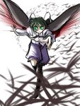  cape green_eyes green_hair touhou wriggle_nightbug yuzukineko 