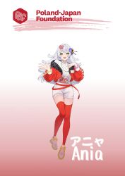  1girl ania_(poland-japan_foundation) bracelet brush_stroke character_name company_name english_commentary full_body gradient_background hair_ornament highres id_card jewelry kamu_4422 lanyard long_hair looking_at_viewer official_art open_mouth pink_nails poland poland-japan_foundation polish_flag_print puzzle_piece_print red_background red_shrug red_theme red_thighhighs second-party_source shirt shoes shorts shrug_(clothing) solo thigh-highs v-shaped_eyebrows waist_ribbon white_background white_hair white_shirt white_shorts white_theme yellow_eyes 